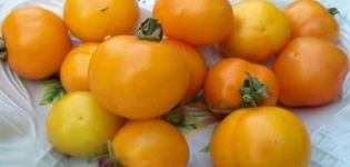 Description of the tomato variety Pineapple, features of cultivation and care