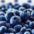 How can you keep blueberries fresh for the winter, the best ways at home