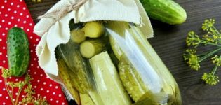 Recettes simples et délicieuses pour mariner les concombres avec des courgettes pour l'hiver