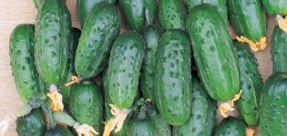 Description of the cucumber variety Be healthy, its characteristics and cultivation