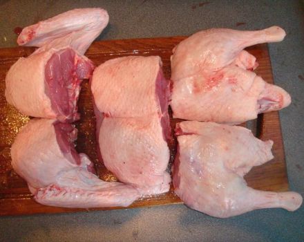 How to pluck and cut a duck correctly, how to gut and cut it into pieces