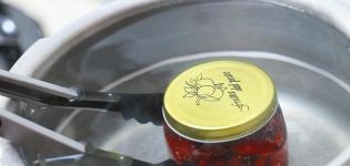 Comment stériliser correctement les bocaux dans une casserole d'eau avant la mise en conserve