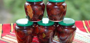 TOP 3 simple recipes for making pickled plums with cloves for the winter