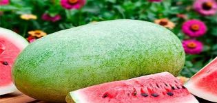 Description of the variety of watermelon near Moscow Charleston Gray, features of cultivation and care