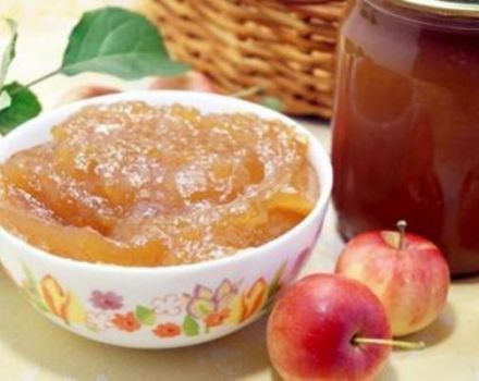 12 meilleures recettes pour faire de la confiture de quartiers de pomme ambrée pour l'hiver