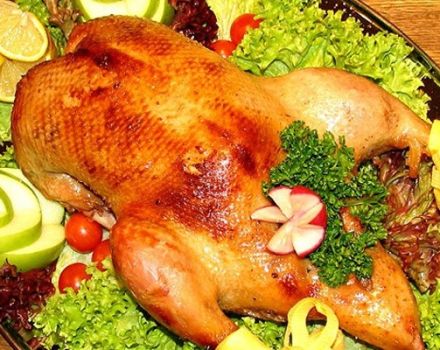 TOP 15 recetas sencillas y deliciosas para cocinar pato en el horno para hacerlo jugoso y suave