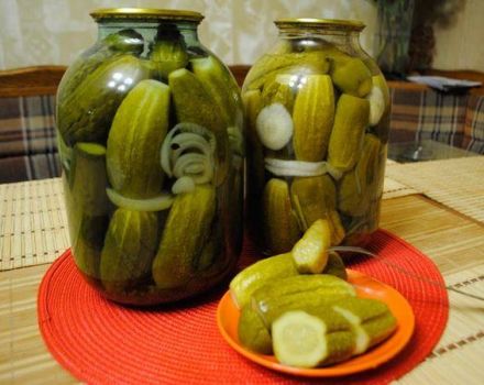 TOP 12 recipes for cooking hot cucumbers at home for the winter