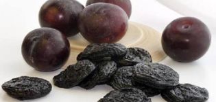 Comment bien sécher les prunes à la maison de vos propres mains, TOP façons de faire des pruneaux