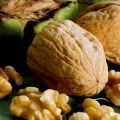 20 jenis walnut terbaik dengan keterangan dan ciri