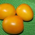 Description et caractéristiques de la variété de tomate Golden Eggs