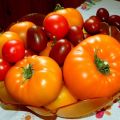 Caractéristiques et description de la variété de tomate géante orange, son rendement