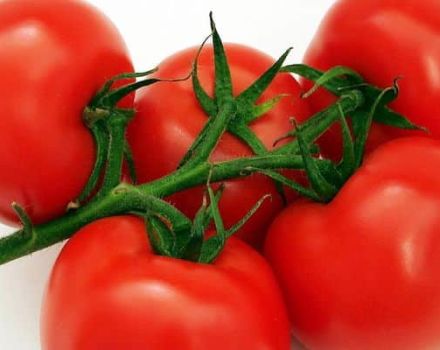 Descripción de la variedad de tomate subártico, sus características y cultivo.