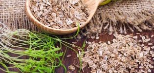 Shelf life and shelf life of dill seeds for planting