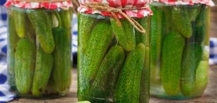 TOP 12 recipes for salting crispy and delicious cucumbers for the winter