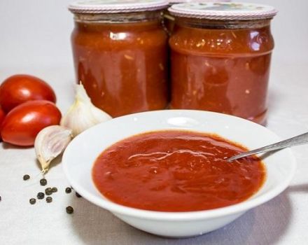 TOP 11 recetas rápidas de salsa de tomate para el invierno te lamerás los dedos