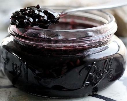 A simple recipe for preparing black currant for the winter without sugar in its own juice