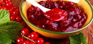 3 meilleures recettes de confiture de groseille rouge Pyatiminutka pour l'hiver