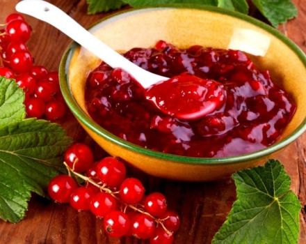 3 best recipes for red currant jam Pyatiminutka for the winter