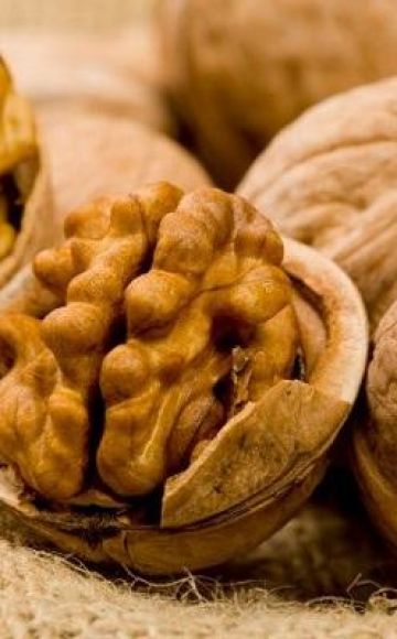 Razones y que hacer si una polilla comienza en las nueces