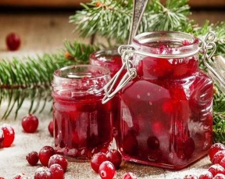 4 best recipes for making cranberry jam for the winter