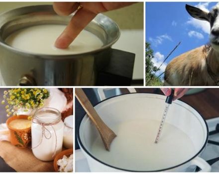 Is it necessary and for how long to boil goat milk, product storage rules