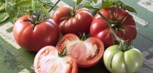 Characteristics and description of the Marmande tomato variety, its yield