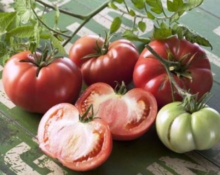 Caractéristiques et description de la variété de tomate Marmande, son rendement