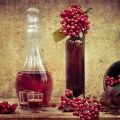 TOP 8 simple recipes for making mountain ash wine at home