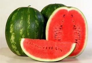 Description and characteristics of the Karistan watermelon variety, yield and cultivation