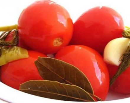 Berapa lama pengambilan tomato acar dan bagaimana menentukan kesediaan