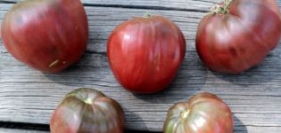 Description de la variété de tomate Black Heart of Breda, caractéristiques de culture et d'entretien