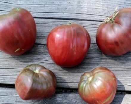 Descripción de la variedad de tomate Corazón Negro de Breda, características de cultivo y cuidado.