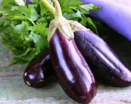 Ce que contient l'aubergine: composition chimique et valeur nutritionnelle