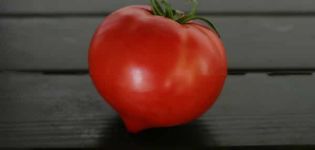 Description de la variété de tomate Perun f1, caractéristiques de culture et d'entretien