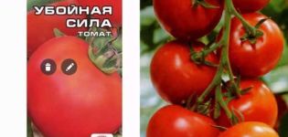 Descripción de la variedad de tomate Fuerza destructiva, sus características y rendimiento