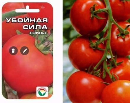 Description of the tomato variety Destructive force, its characteristics and yield