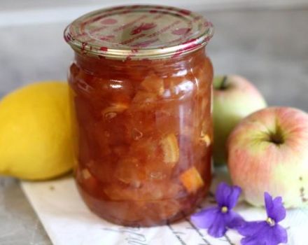 6 best recipes for making apple and lemon jam for the winter