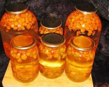 Resipi mudah untuk membuat kompot cloudberry untuk musim sejuk