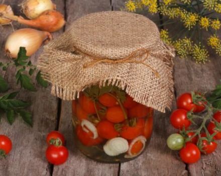 TOP 3 recipes for pickling tomatoes with parsley for the winter