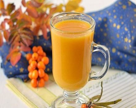 TOP 10 de las mejores recetas de jugo de espino amarillo a través de un exprimidor en casa para el invierno, con y sin hervir