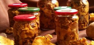 Recetas sencillas paso a paso para hacer rebozuelos en escabeche para el invierno en casa