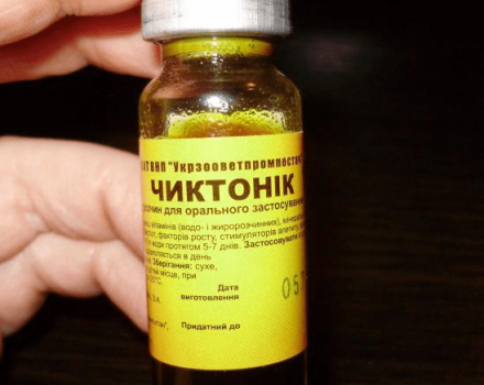 Instructions for use and dosage of Chiktonik for ducklings and mulard, analogues