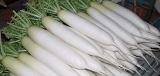 Descripción de la variedad Daikon Minovashi, características de cultivo y cuidado.