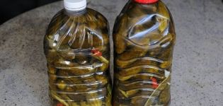 Step-by-step recipes for pickled cucumbers in plastic bottles for the winter, storage