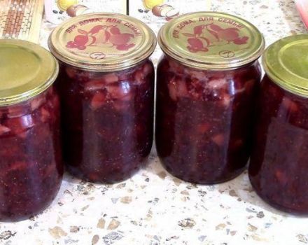 TOP 7 recipes for making apple-plum jam for the winter