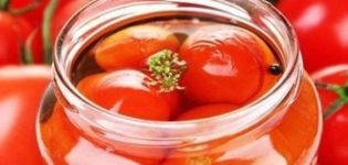 Les meilleures recettes étape par étape pour des tomates marinées royalement pour l'hiver à la maison