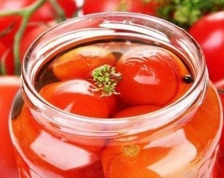 Resipi langkah demi langkah terbaik untuk acar tomato untuk musim sejuk di rumah