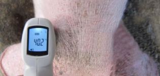 The rate and causes of fever in pigs, how to measure and how to treat