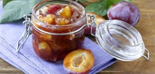 Resipi langkah demi langkah untuk jem plum ambar dengan kepingan keseluruhan untuk musim sejuk