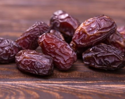 Description of varieties of royal dates, their useful properties and harm